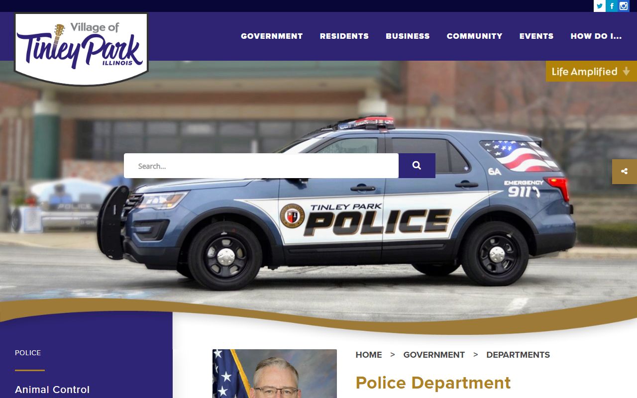 Tinley Park Police Department page for 24 hour booking records