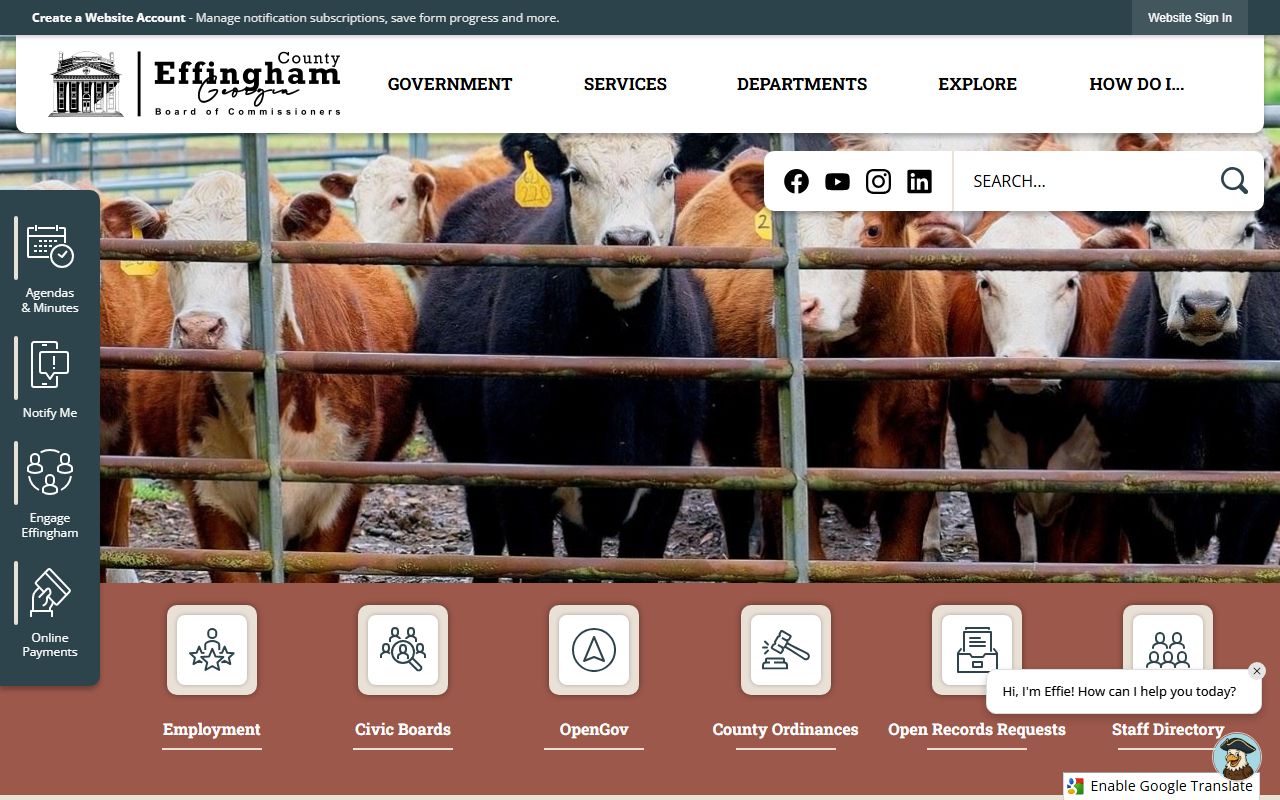 Effingham County government portal with links to sheriff and booking services